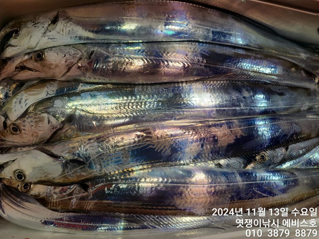 F256945633.jpg