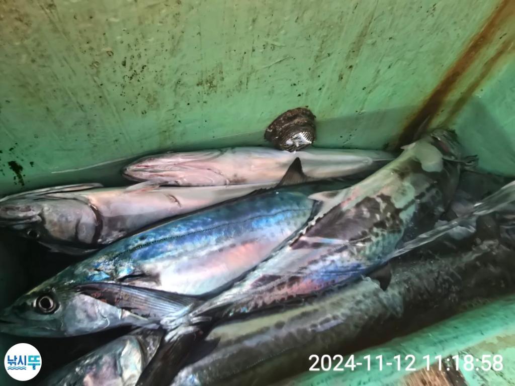 F2569503KN.jpg