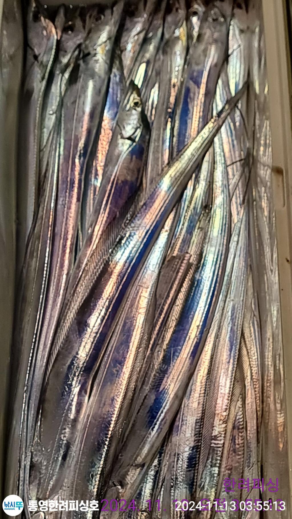 F25696075Q.jpg