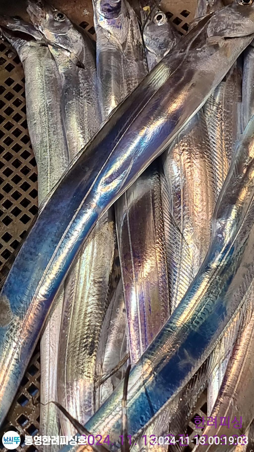 F2569610CT.jpg