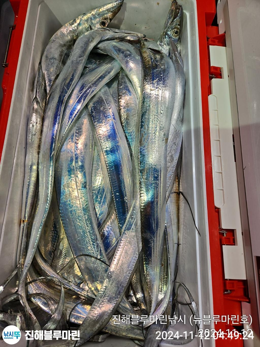 F2569758XM.jpg