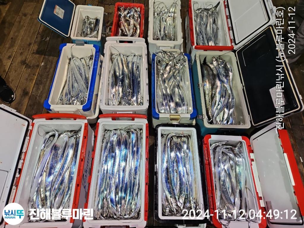 F2569783IU.jpg