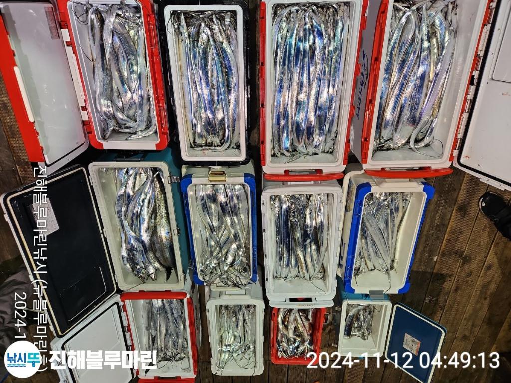 F2569784WQ.jpg