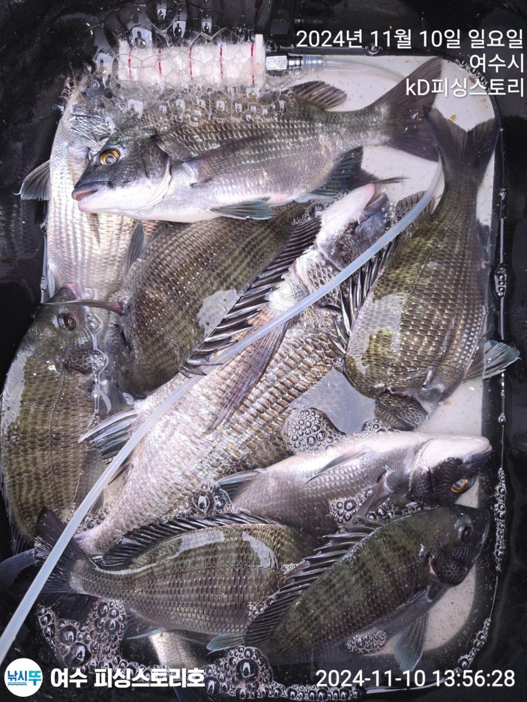 F25701315L.jpg