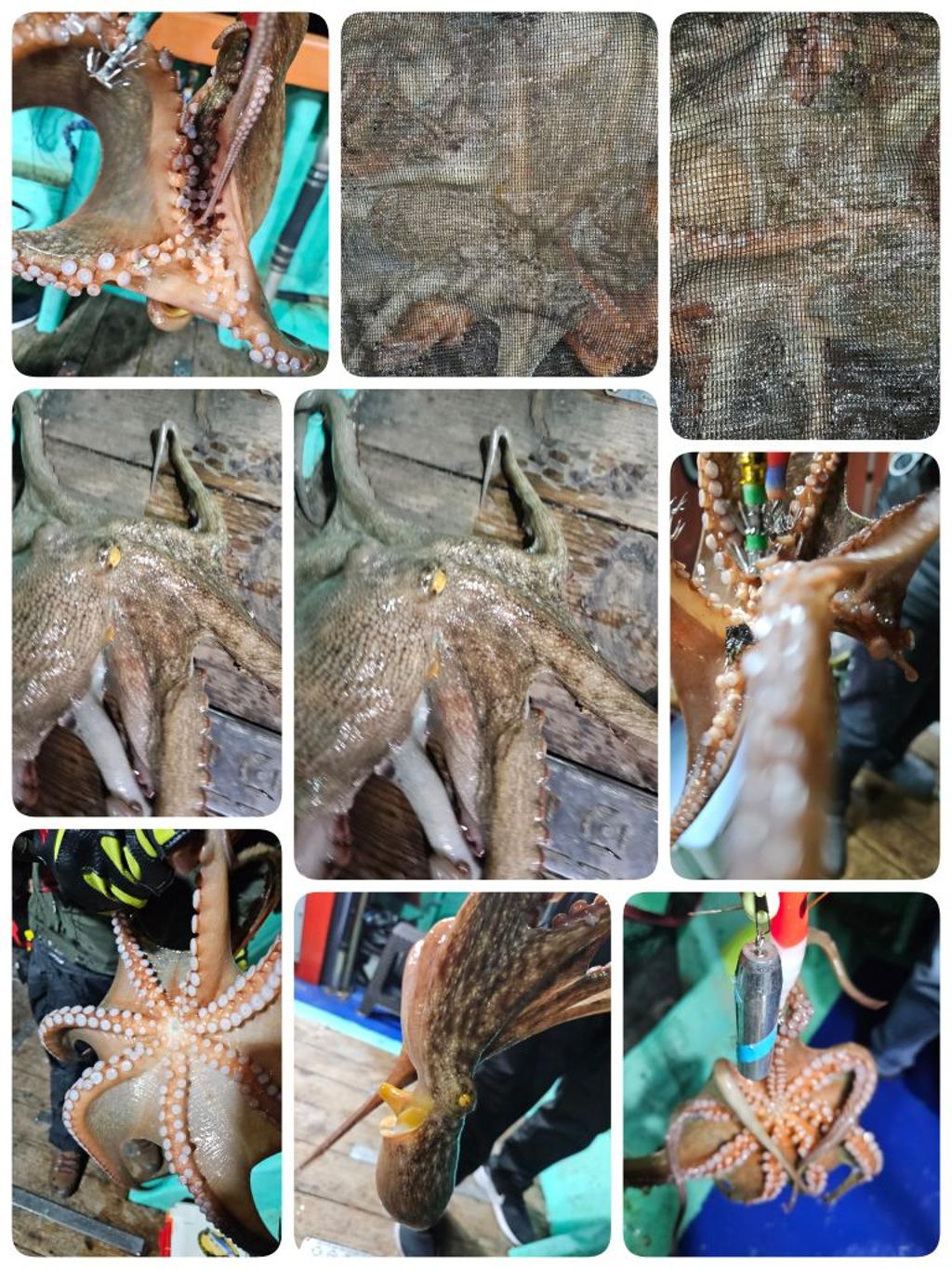 F2570224CR.jpg