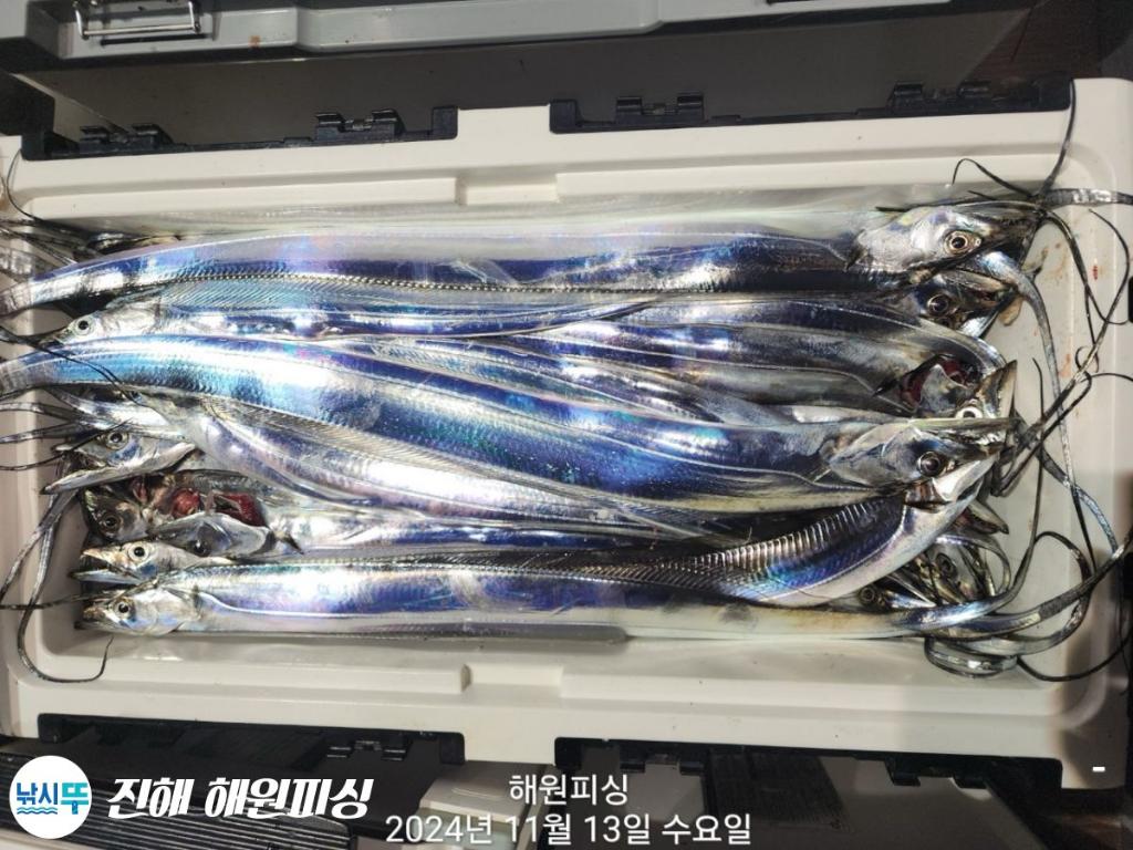 F2570634ZU.jpg