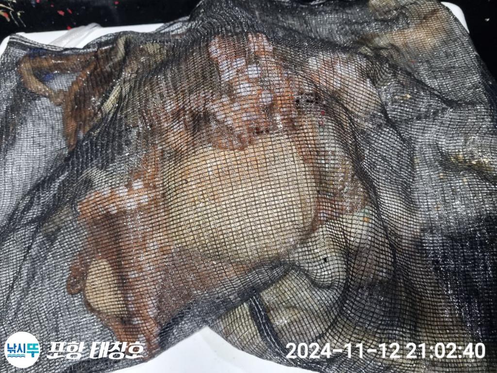 F2570691HH.jpg