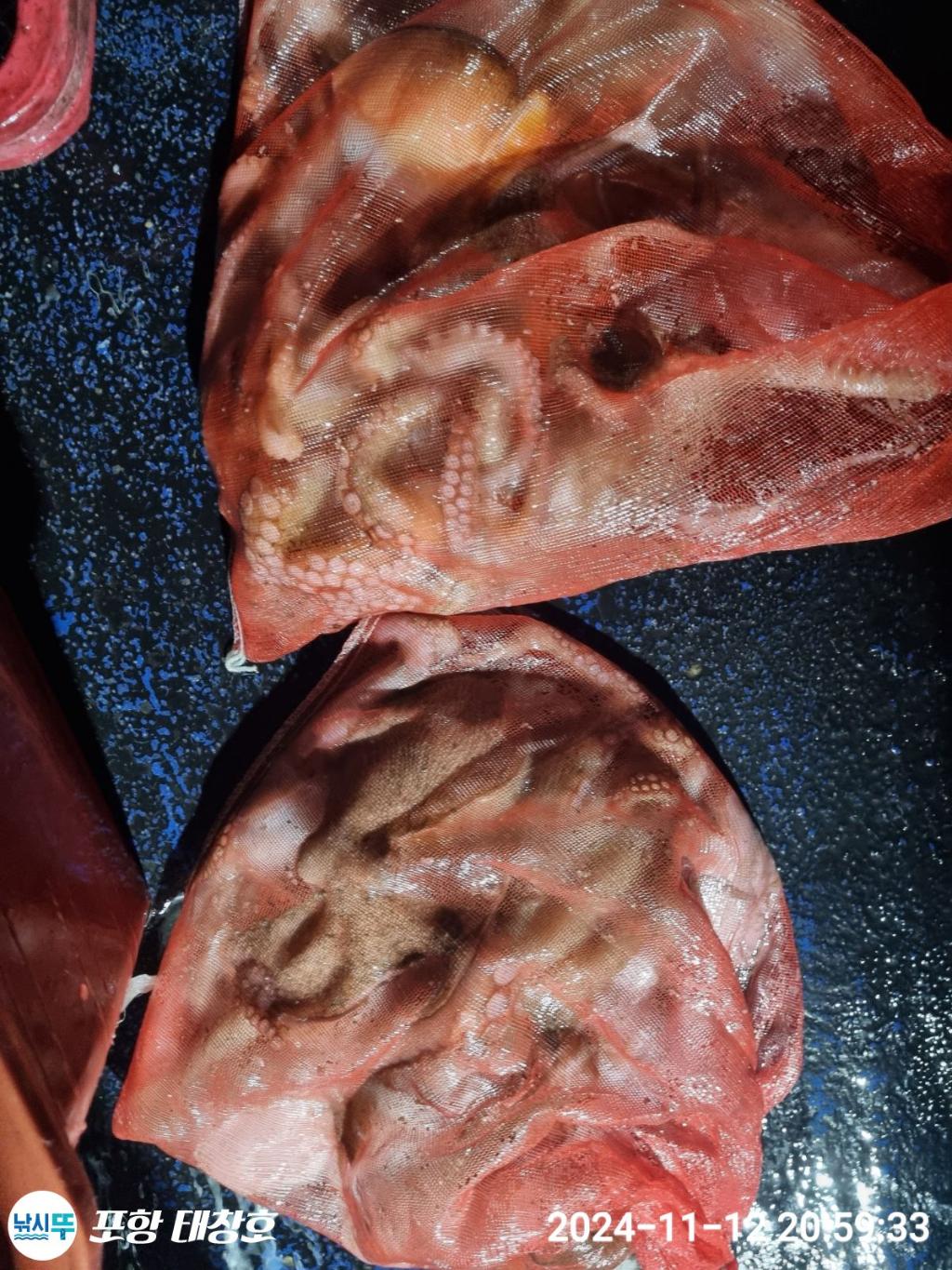 F2570692MK.jpg