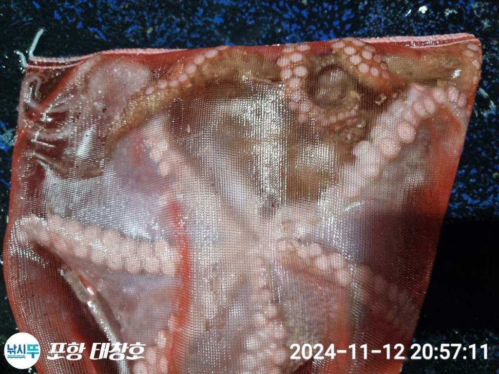 F2570698AV.jpg