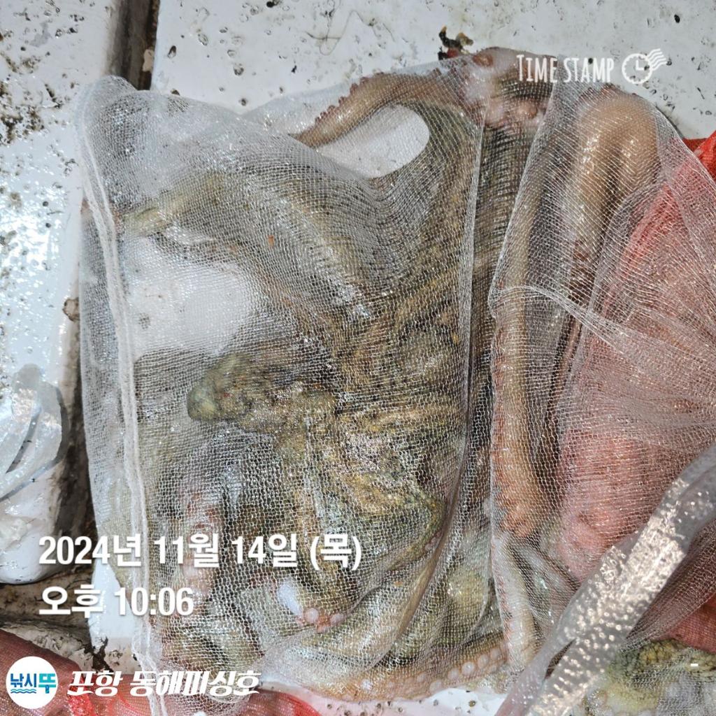 F25712633S.jpg