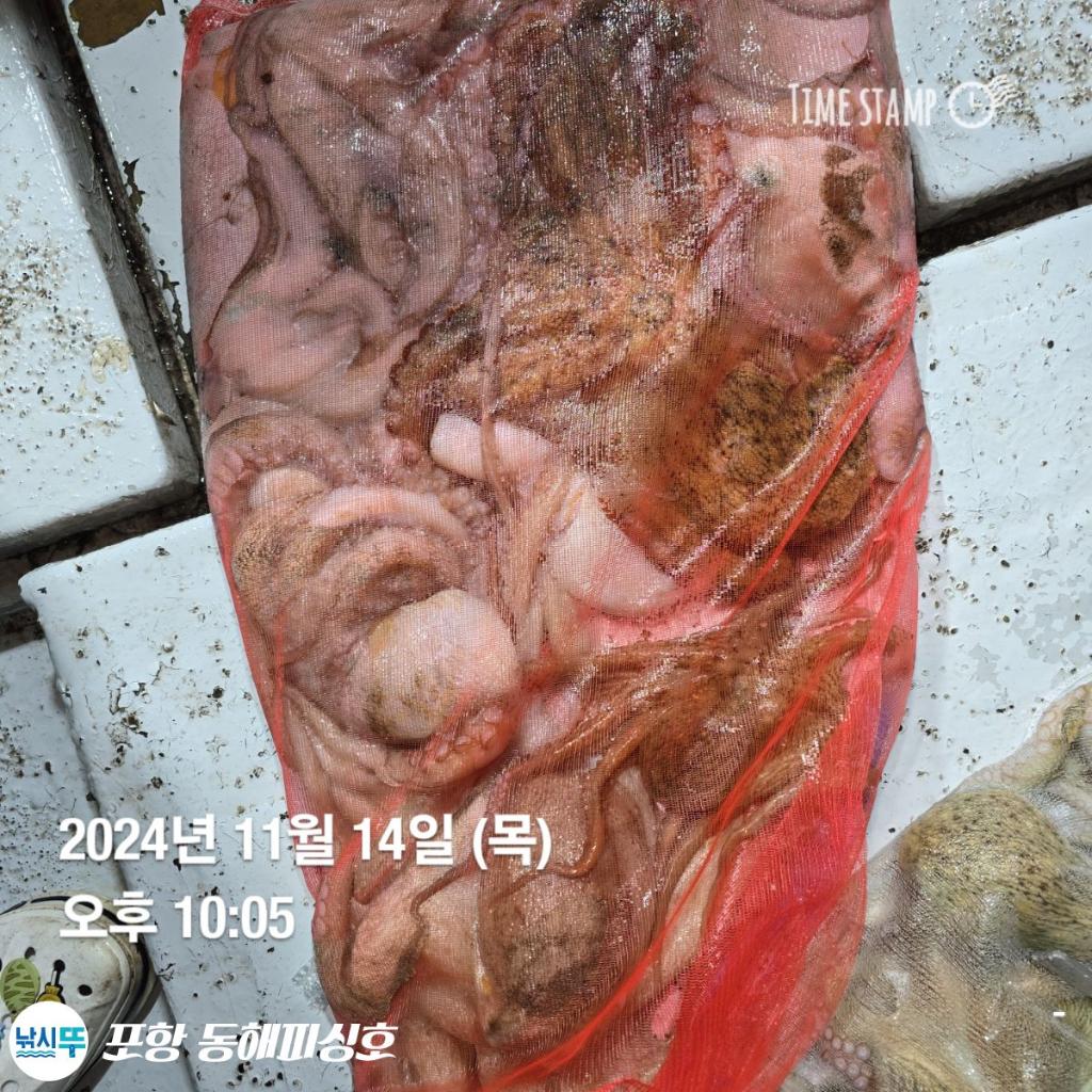 F2571264YG.jpg