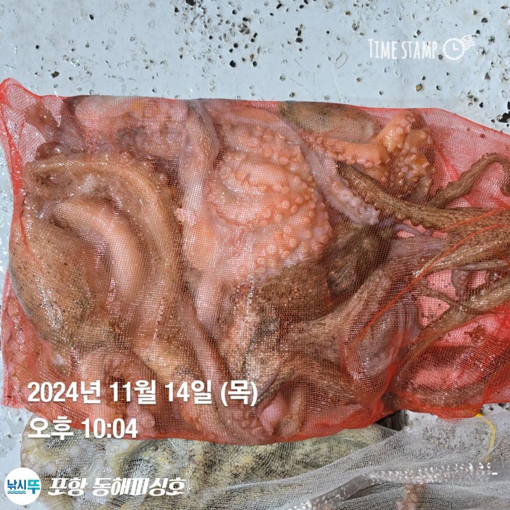 F2571265TR.jpg