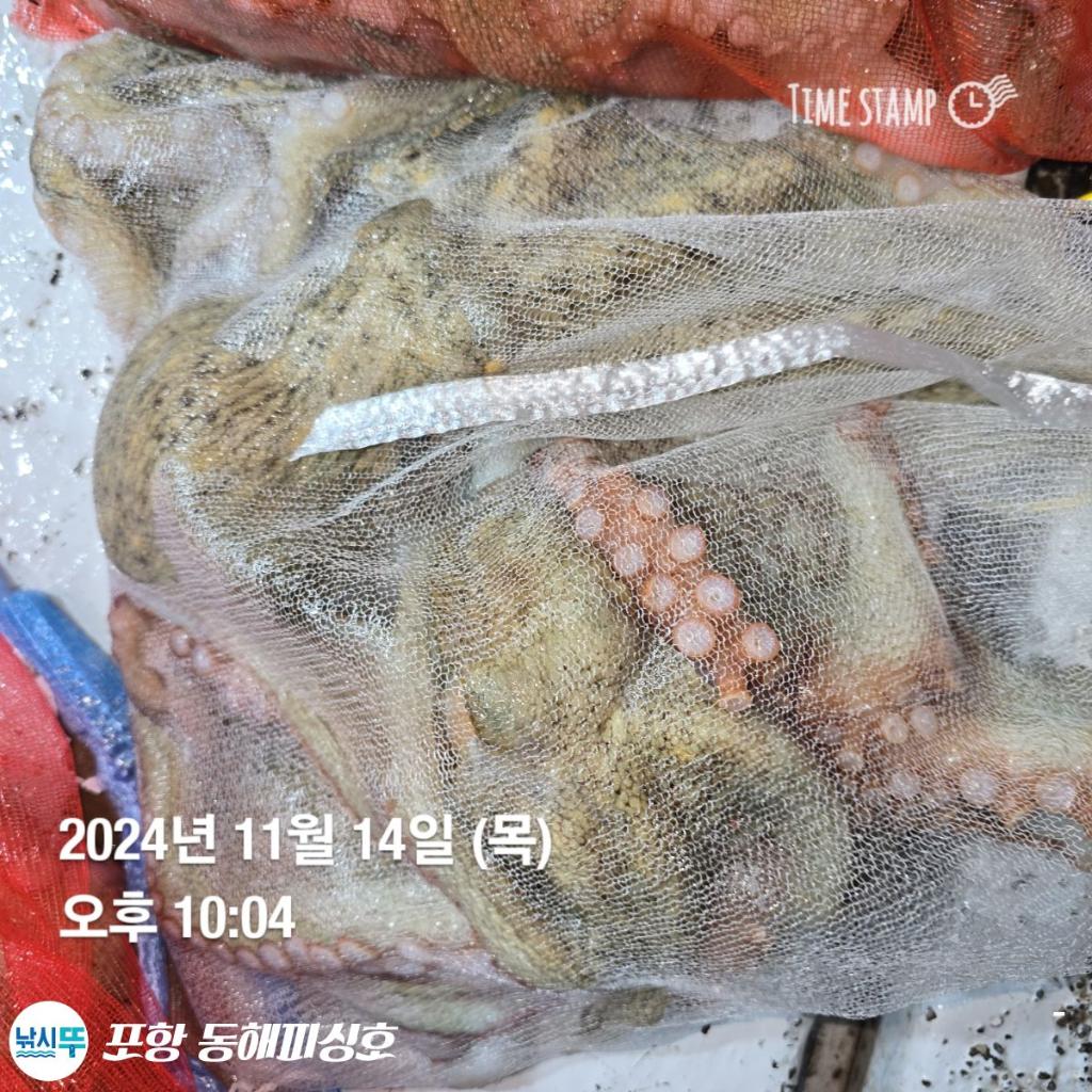 F2571266MA.jpg