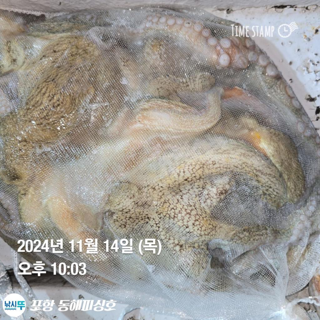 F2571270JU.jpg