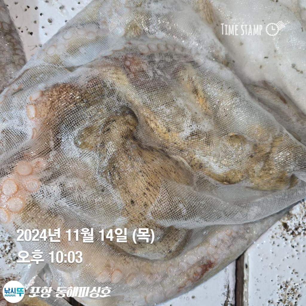 F2571271KS.jpg