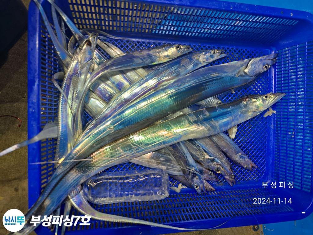 F2571397JY.jpg