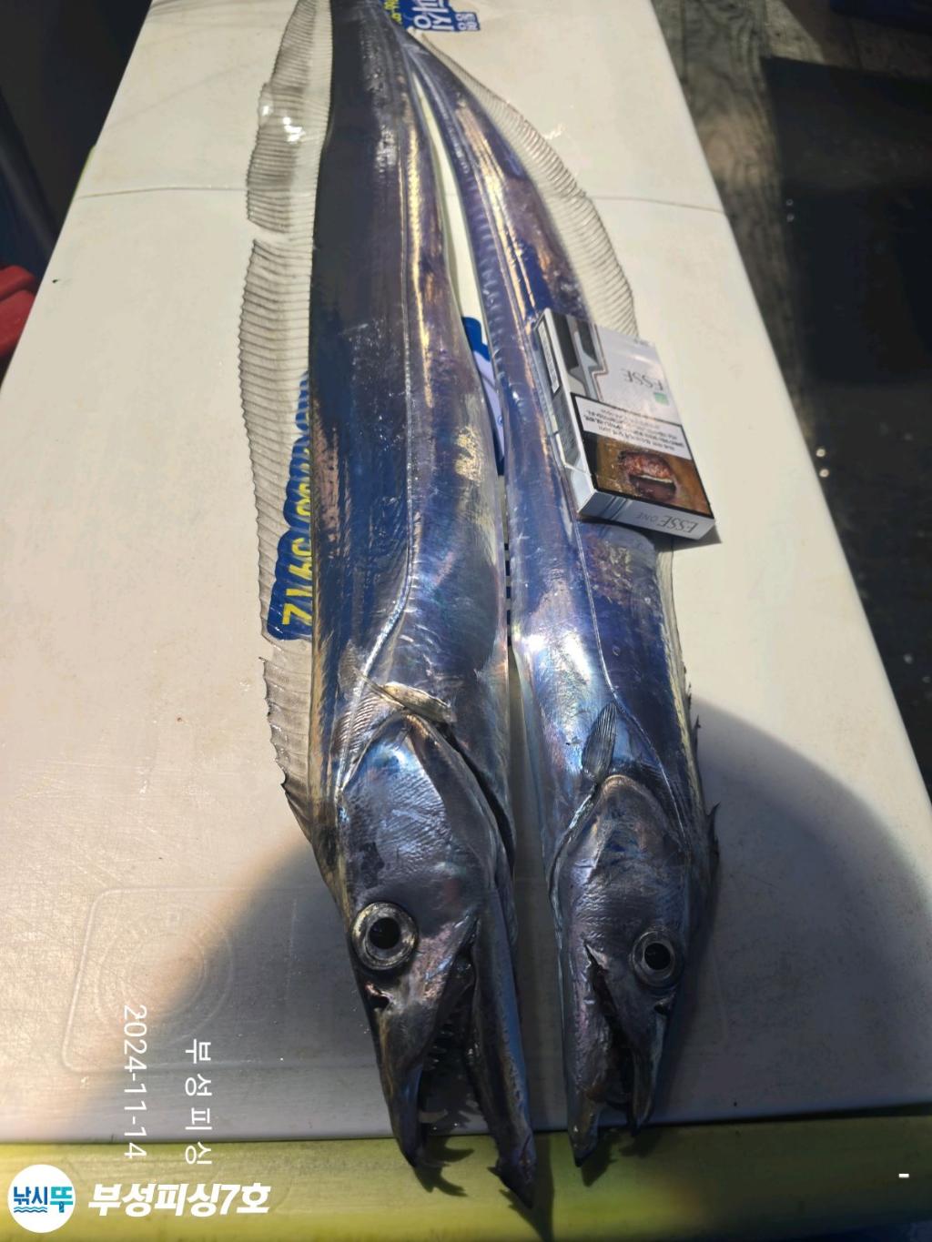 F2571399PO.jpg