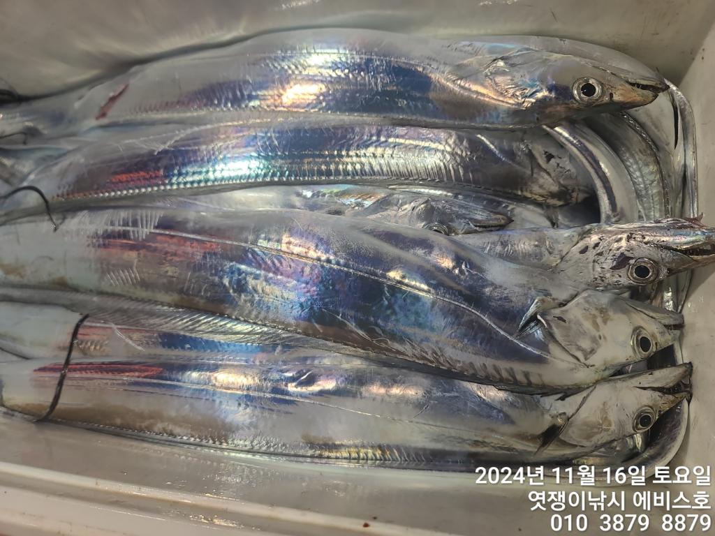 F2572400W1.jpg