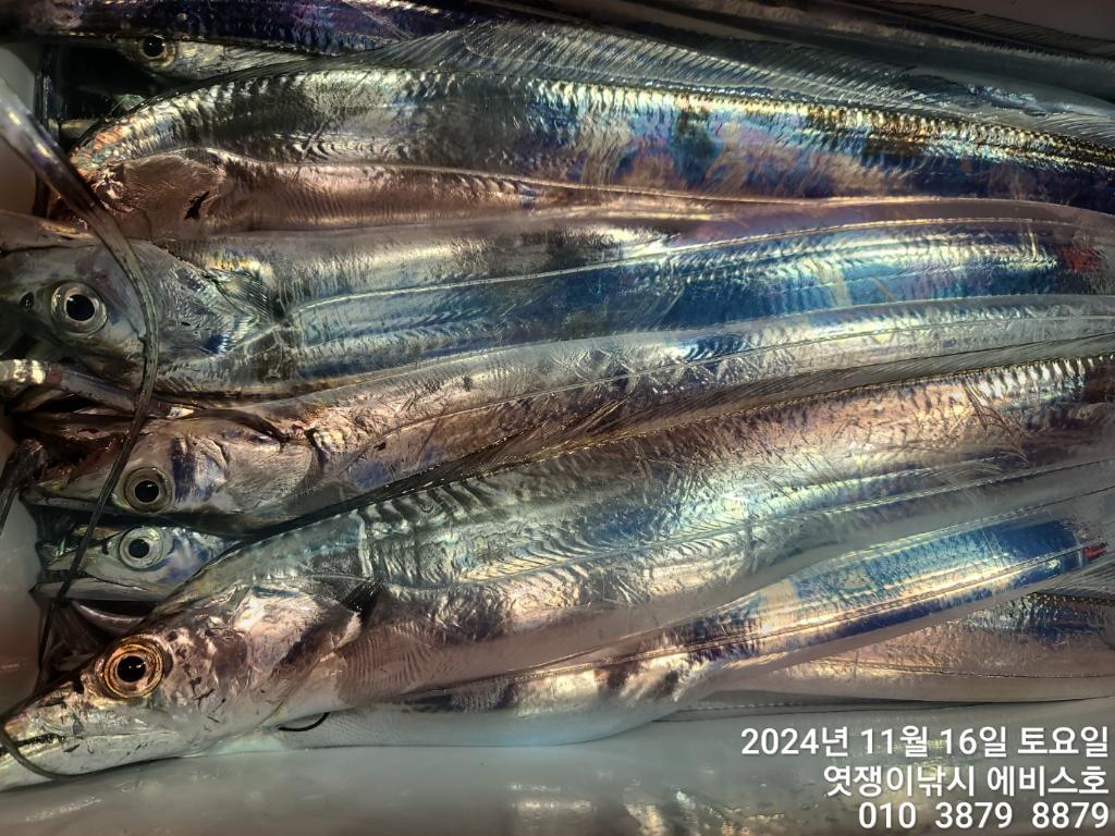 F2572406DC.jpg