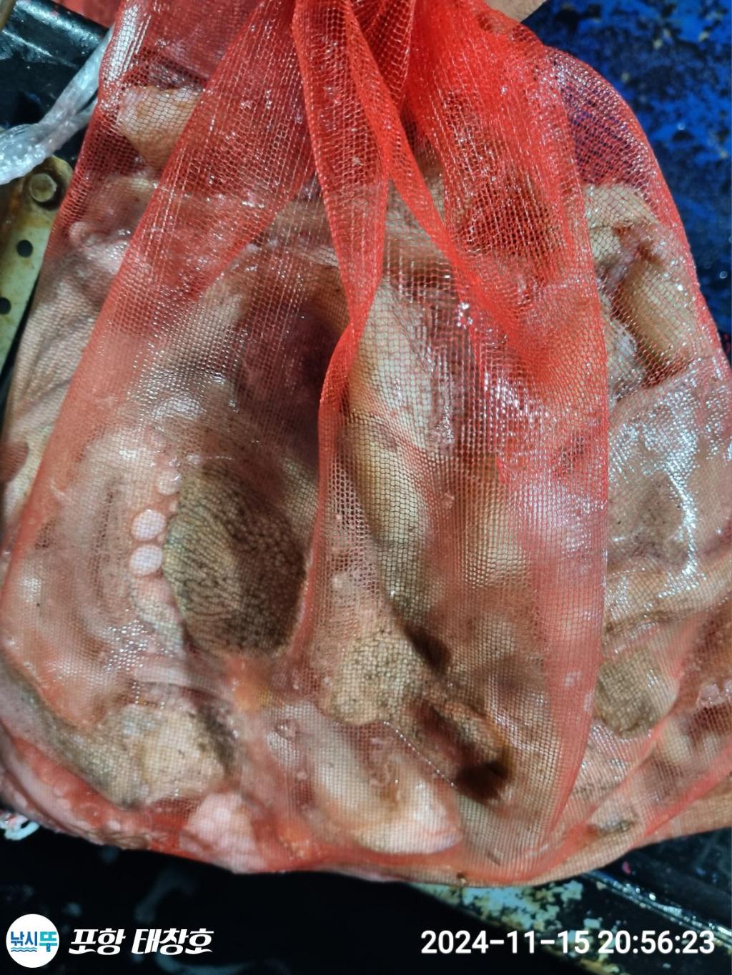 F25726509H.jpg