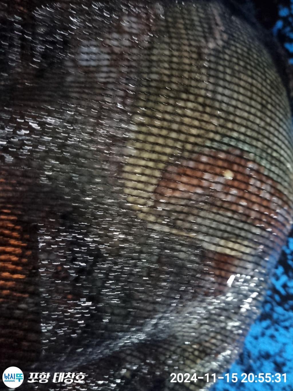 F2572652Y1.jpg