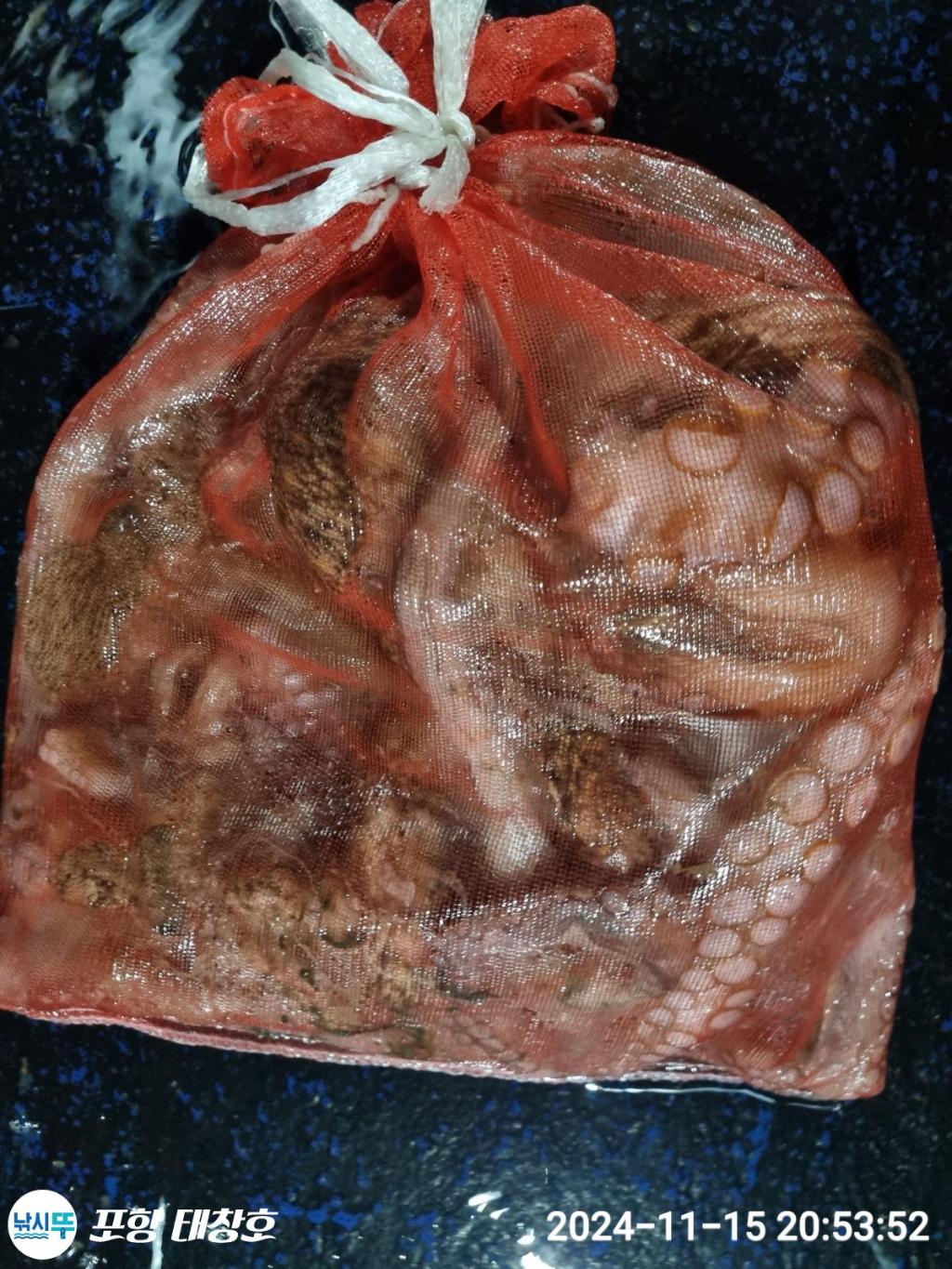 F2572656JG.jpg