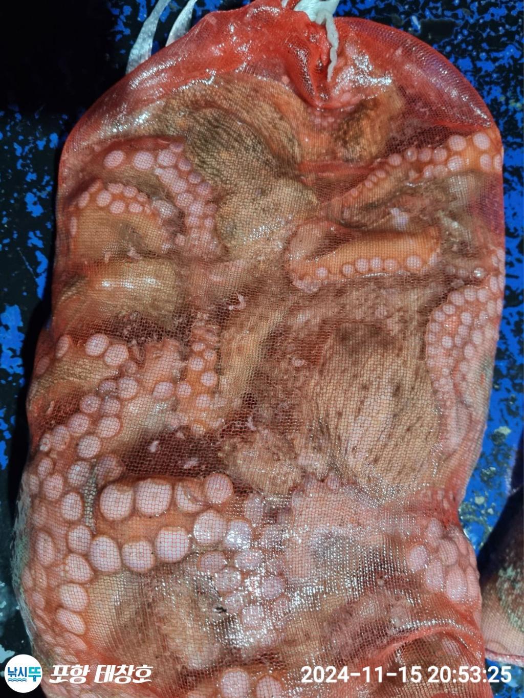 F2572658XI.jpg