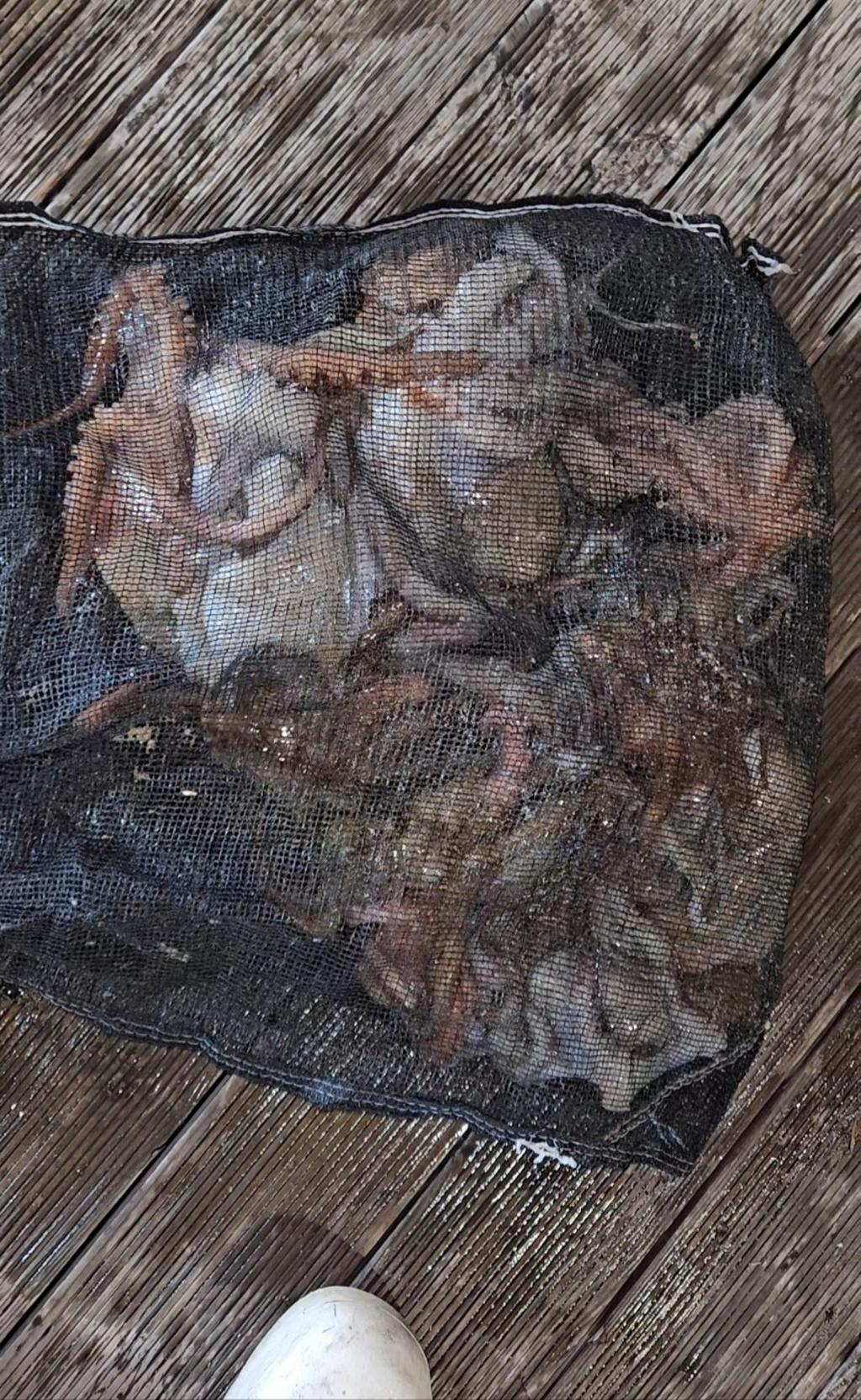 F2572767C3.jpg