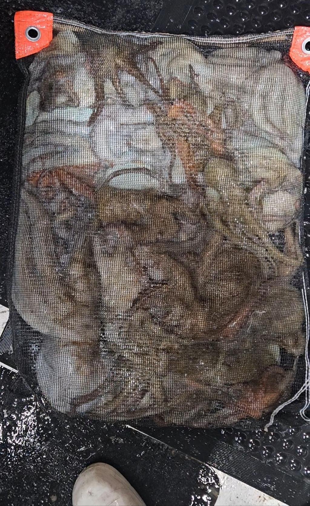 F2572768E3.jpg