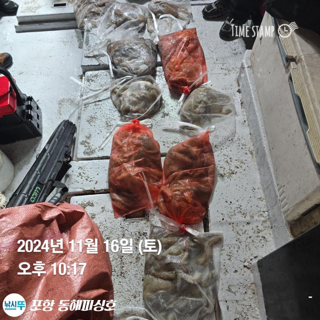 F25729818T.jpg