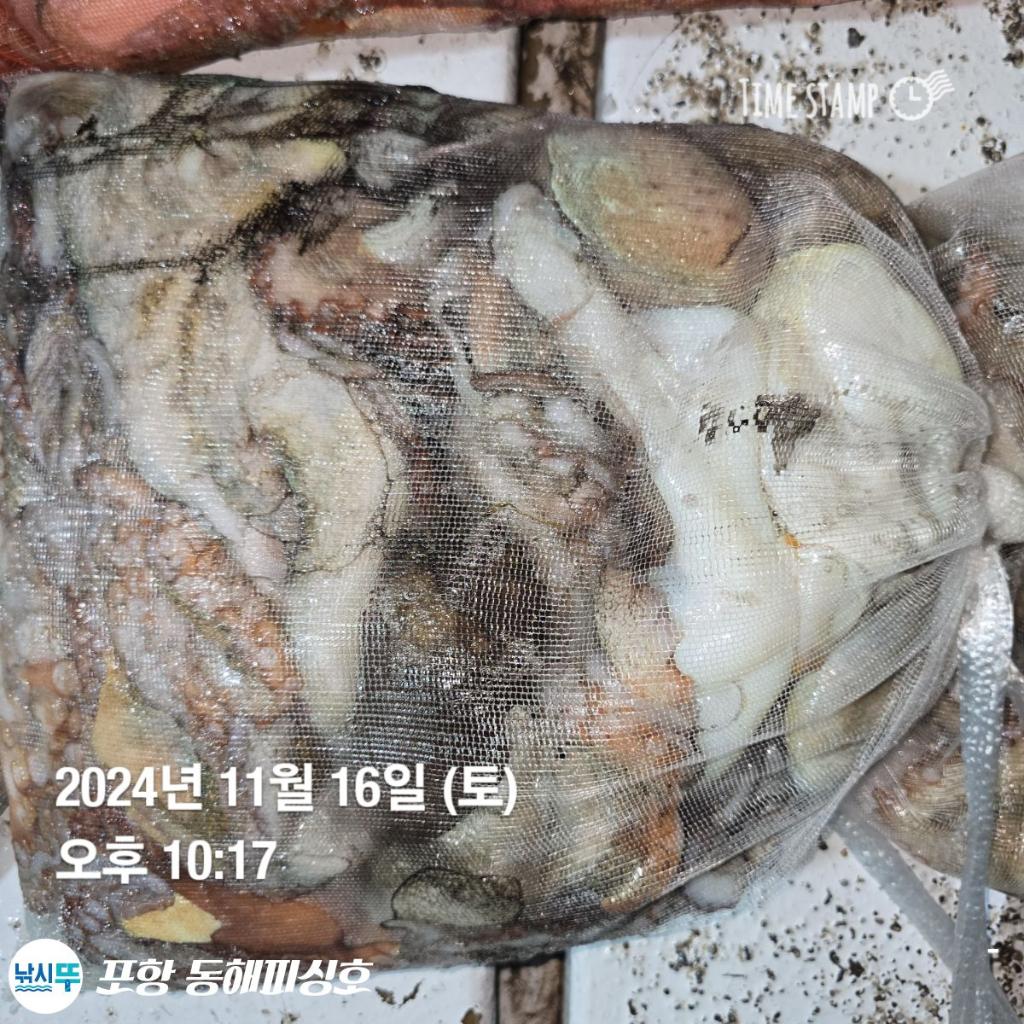 F257298598.jpg
