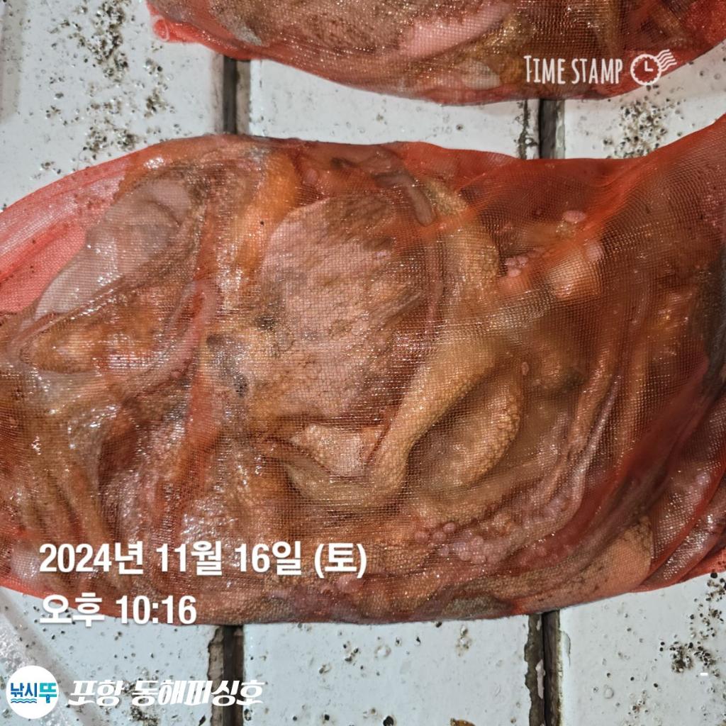 F25729898Z.jpg