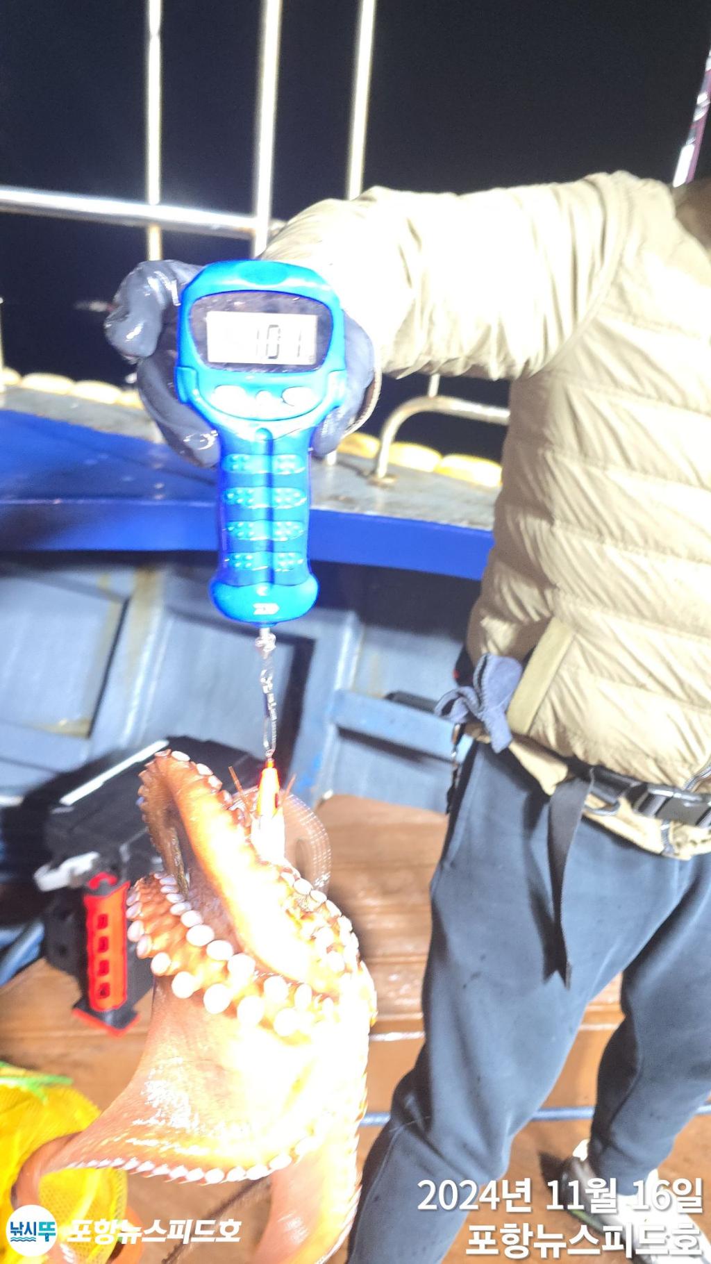F2573352MX.jpg