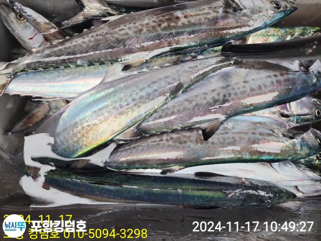 F2573401MG.jpg
