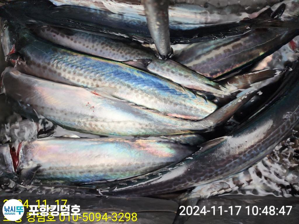 F25734062X.jpg