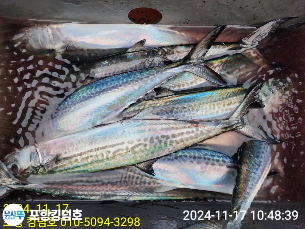 F257340866.jpg