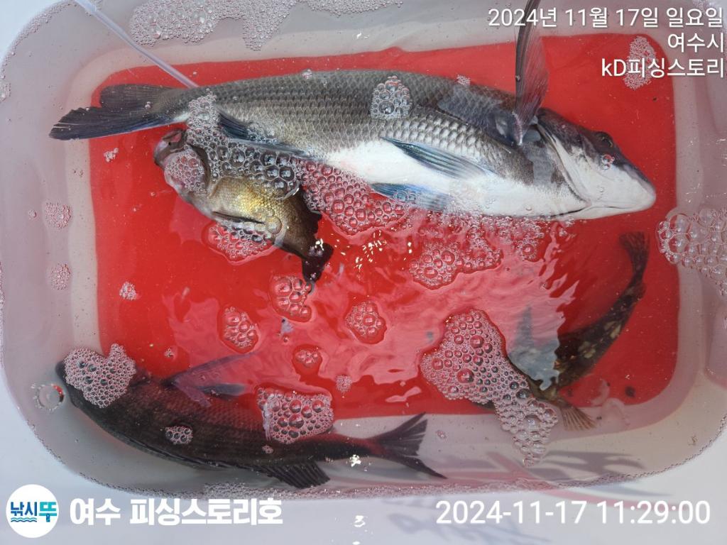 F2573730Q2.jpg