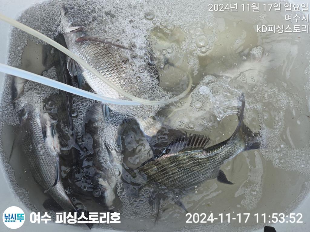 F25737337X.jpg