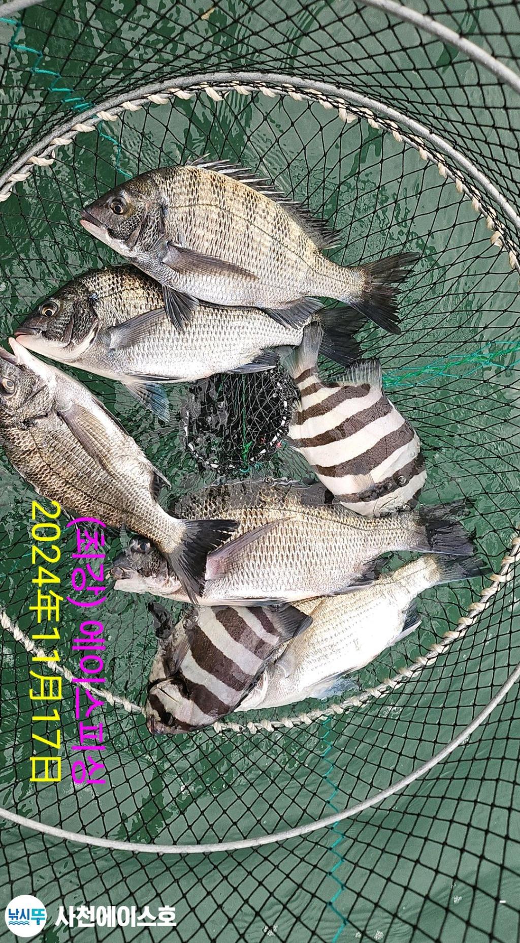 F2573807BC.jpg