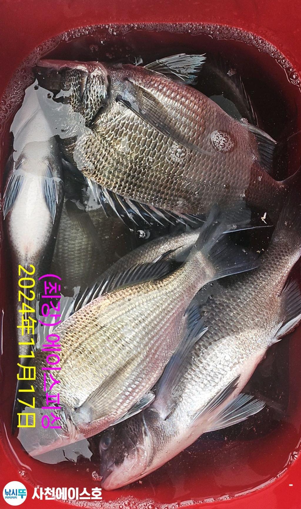 F2573812ED.jpg
