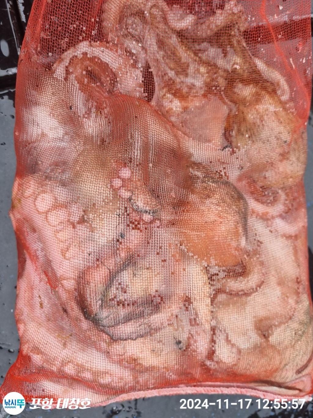 F2573839N6.jpg