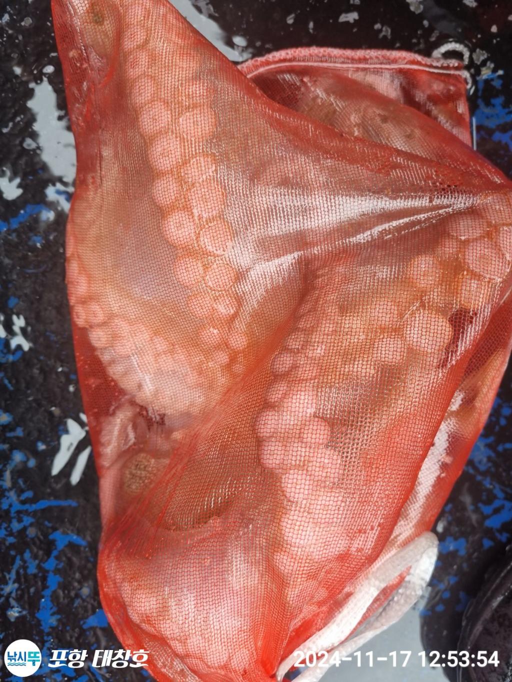 F25738444K.jpg