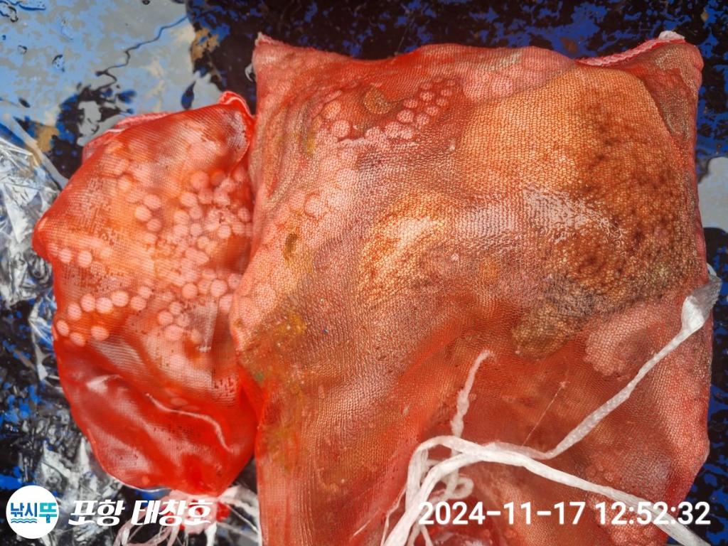 F2573849VI.jpg