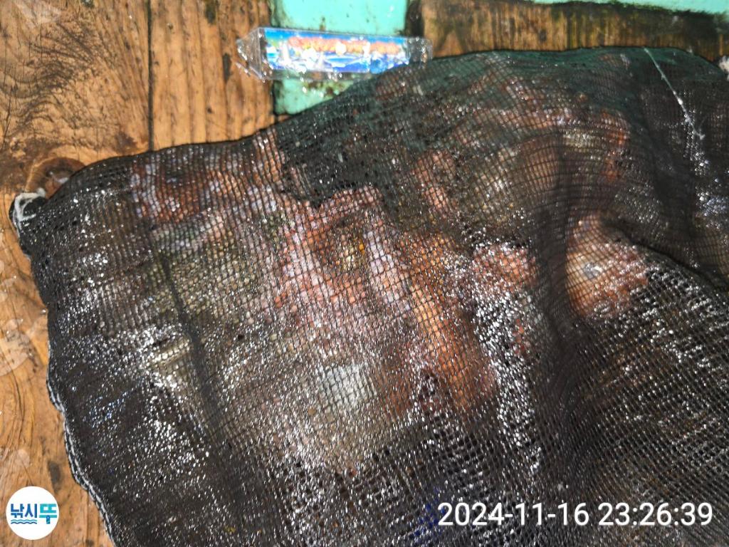 F2574397TQ.jpg