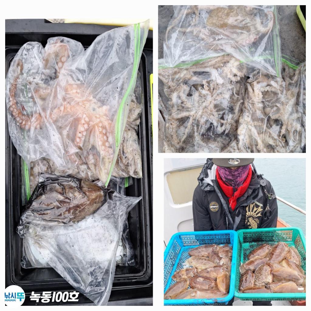 낚시뚜,갑오징어,쭈꾸미,녹동항,녹동100호,낚시뚜5