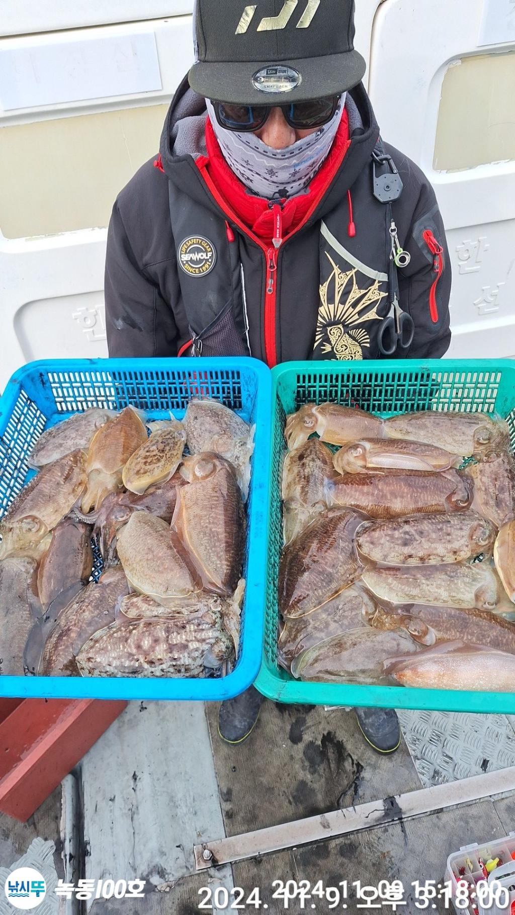 낚시뚜,갑오징어,쭈꾸미,녹동항,녹동100호,낚시뚜0