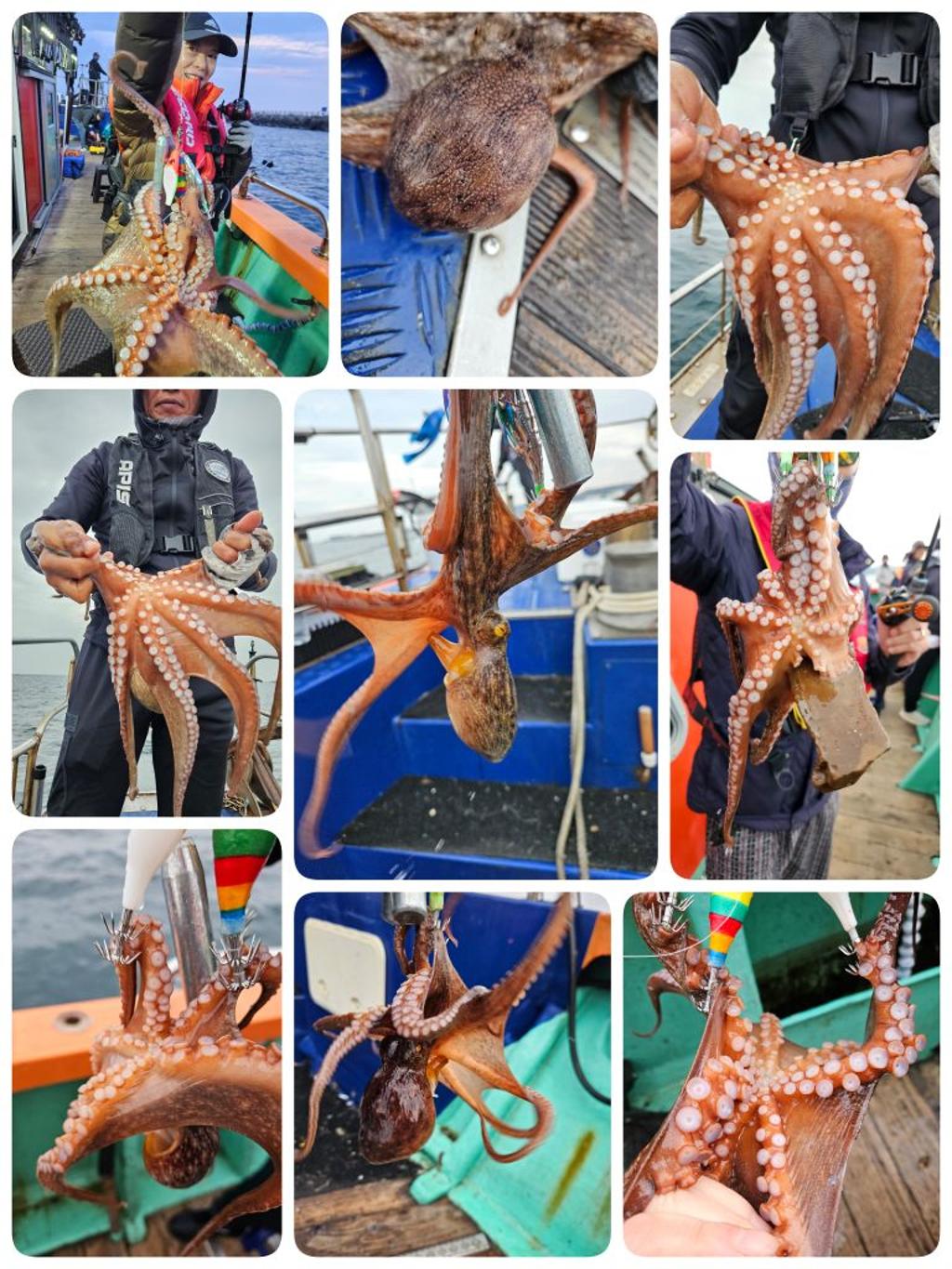 F2574782D9.jpg