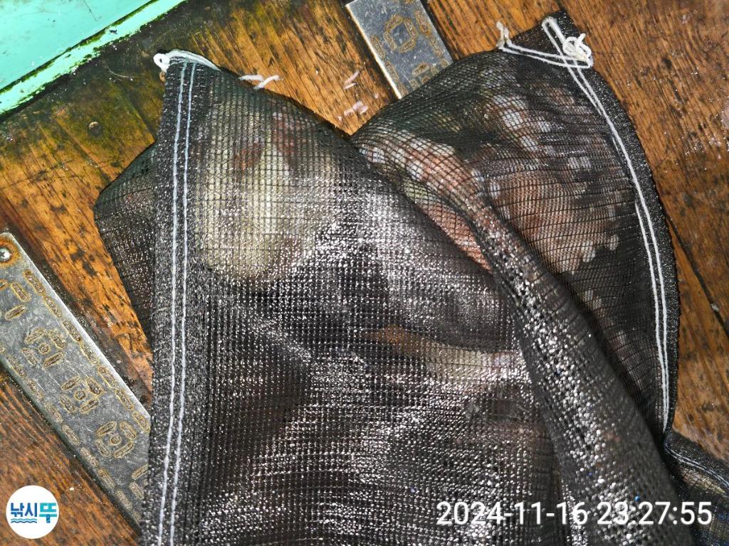 F2574797SJ.jpg