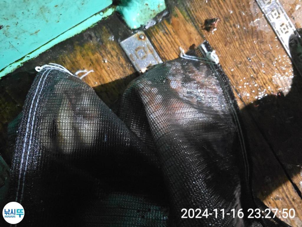 F2574798DY.jpg
