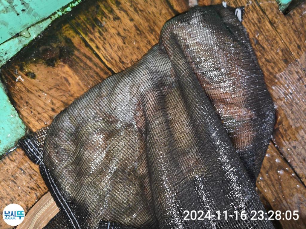 F25747990Y.jpg